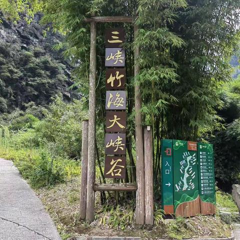 炎热夏季中的一抹绿色清流——宜昌三峡竹海邂逅