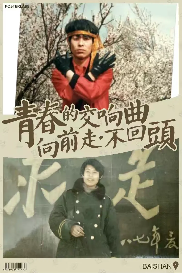 青春岁月