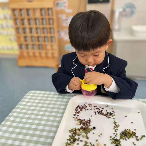 托三班生活主题《小豆子》