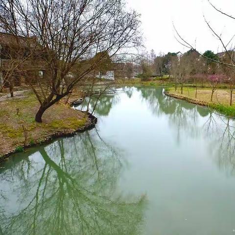 千顷蒹葭十里洲，溪居宜月更宜秋