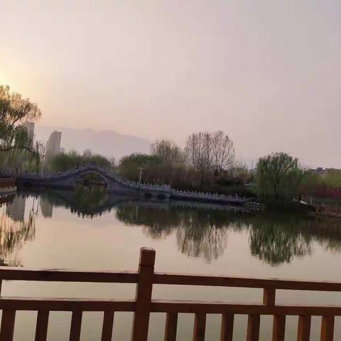 风景这边独好 ——林州八小六年级组“教育人生，书香相伴”读书分享会