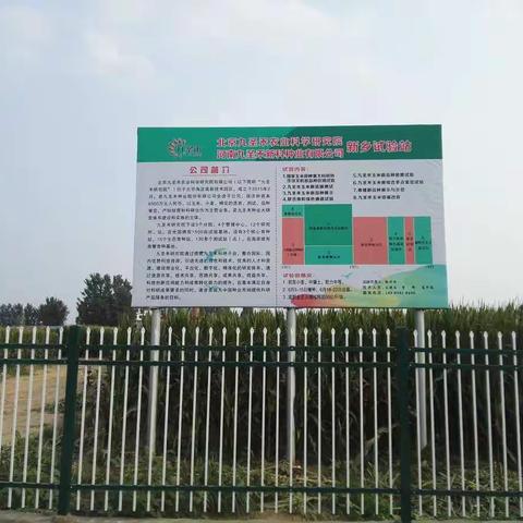 【精品荟萃】诚邀！九圣禾研究院黄淮海玉米新品种展示田对外开放啦！