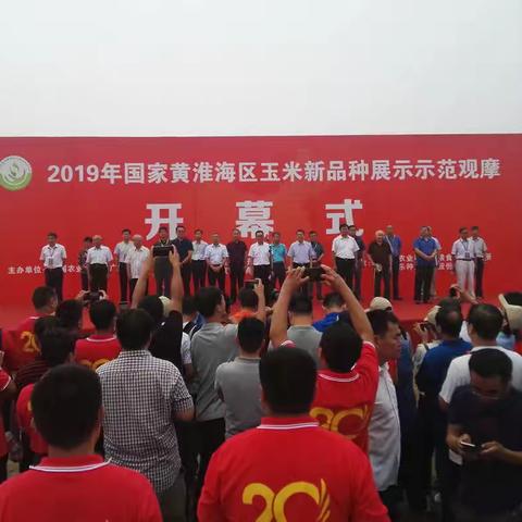 【爆点】九圣禾616闪亮2019年国家黄淮海玉米新品种展示示范观摩会