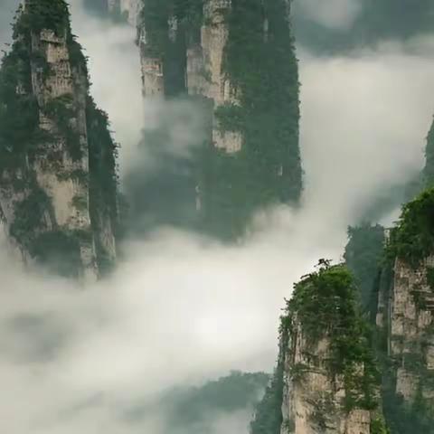 赛博古城-阿凡达张家界