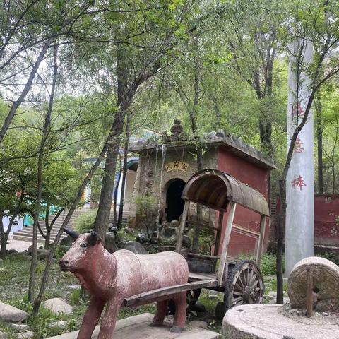 爱贝尔夏季主“与绿色为伍、与自然相伴”户外拓展活动开始啦！