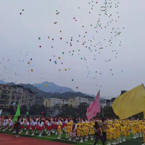 我运动    我快乐—记妙高小学101班运动会