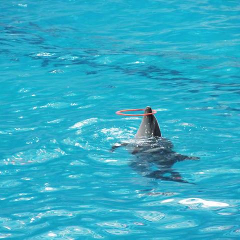 回忆篇之十四～青岛、威海、大连