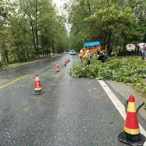 清路面障碍，保畅通出行