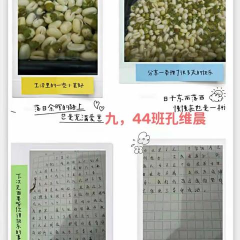 北辛中学九年级44.45班别样的语文课堂（二）