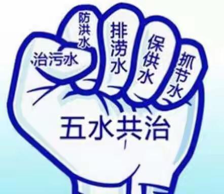五水共治你我他，碧水青山靠大家——记文渊小学四（2）中队炫彩小队暑期实践活动