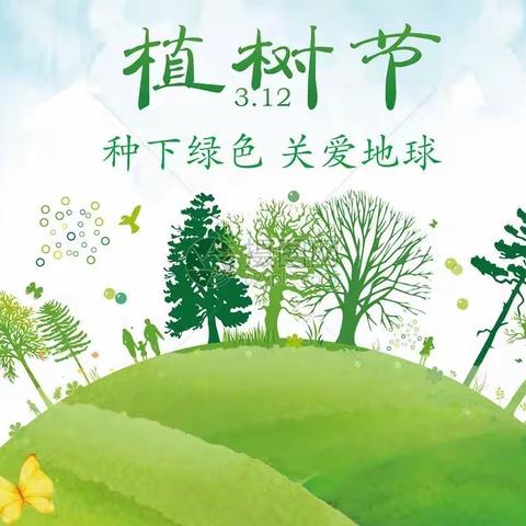 一草一木皆热爱，同心同力汇山海——滨城区第一小学2020级（6）班绿色行动