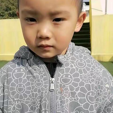 汀香水榭幼儿园的美篇