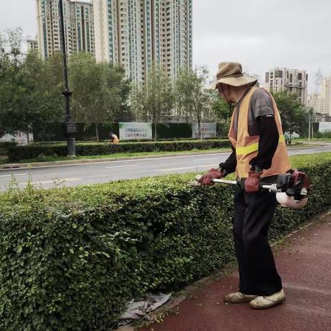 城市美容师