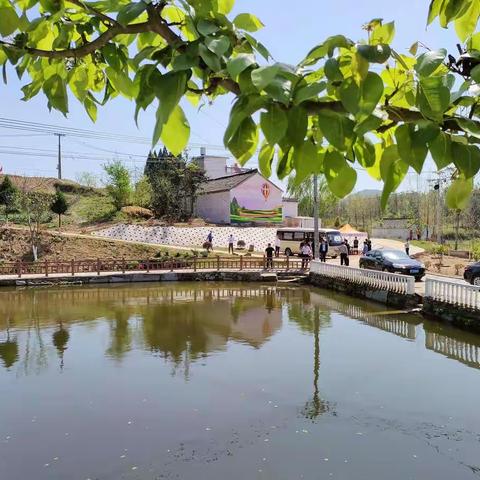 花湾村人居环境整治，打造美好宜居乡村