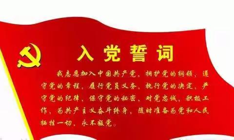 党旗迎风飘----老庄子村党支部“庆七一  颂党恩- 心系百姓  脱贫攻坚”主题党日活动
