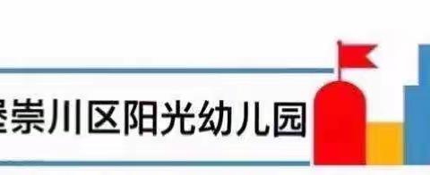 【阳光园中二班】11月主题回顾