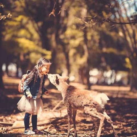 宝贝的31个敏感期，作为家长一定要知道（一）