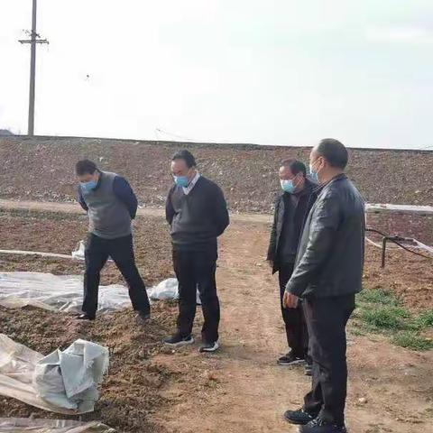 县委书记卢捍卫到滔河乡调研产业发展