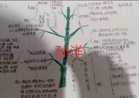 第三张农业~优秀思维导图
