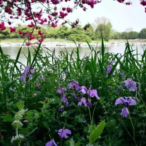 快乐的节日