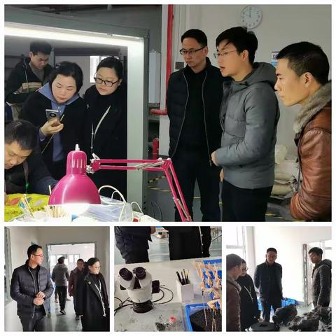 |信息技术系-艺术设计团队|深入企业调研助力双优专业建设