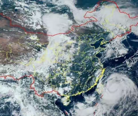 迎战台风“利奇马”，即墨区自然资源局在行动！