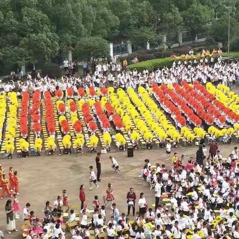 我只有感动