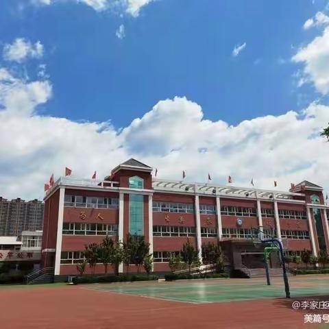 聚焦新课标  践行新理念  助力新新课堂——记李家庄小学数学教师参加新课标培训活动