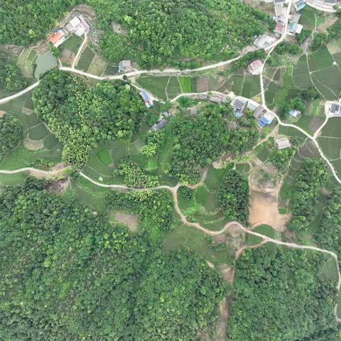 助力乡村振兴，池岩先行