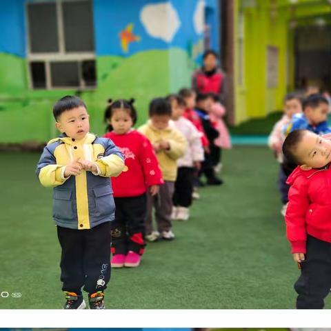 🌈向日葵🌻幼稚园小班第四周快乐周记