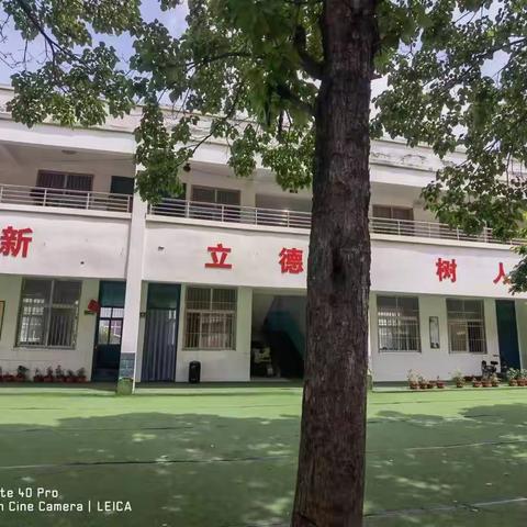 淮阳区农场小学 新学期招生开始啦！