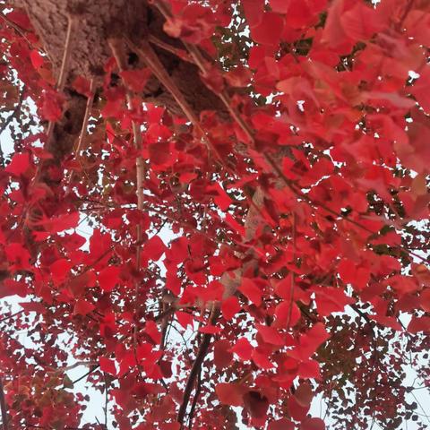 生命是一场旅行