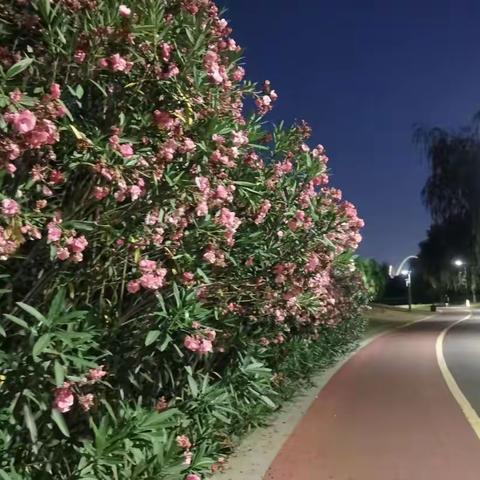 床上无眠月正圆