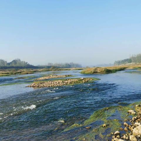 十年依旧多情主