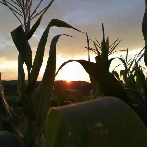 那年那月那寡人