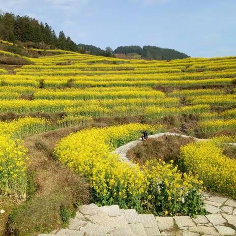 邂逅最美乡村——婺源