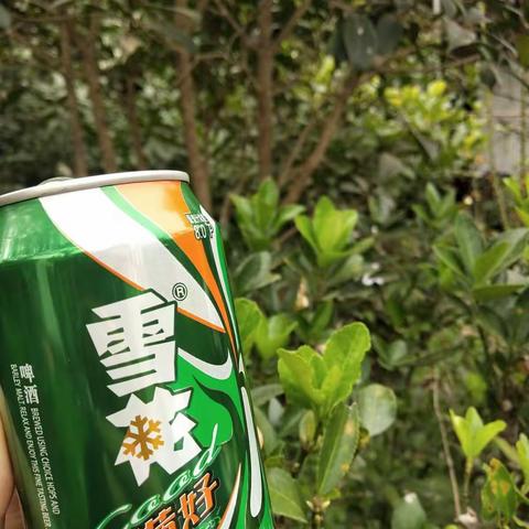 立冬风起有感