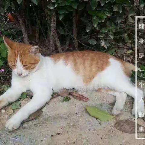 离秋