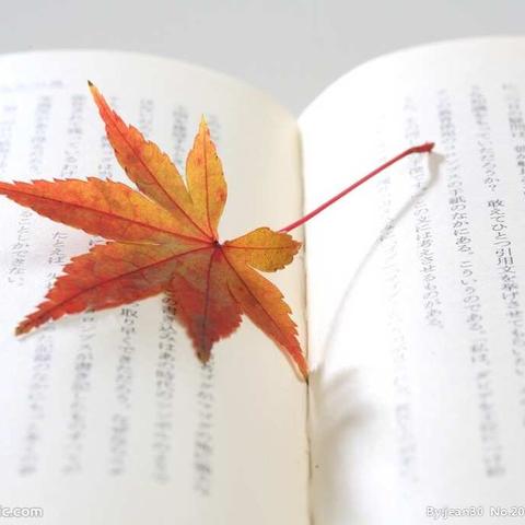 心在路上  梦在远方