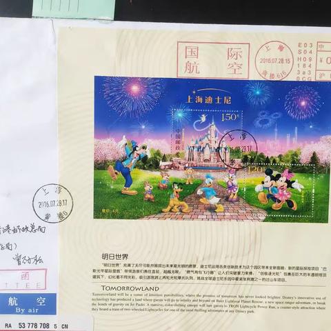 原地封片拍卖品展示（第339期）