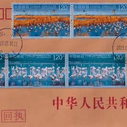 原地封片拍卖品展示（第335期）