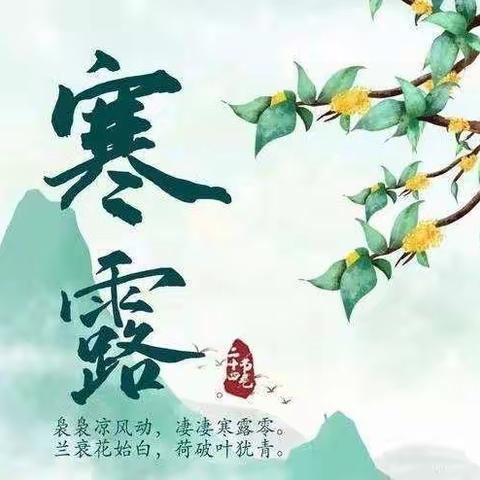 大一班寒露节气主题活动