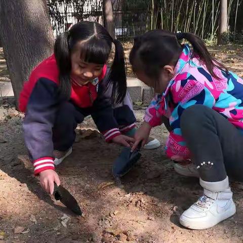 长安易居幼儿园中四班课程 “泥”好“土”