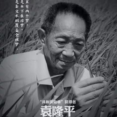 【追思缅怀】禾下乘凉，我们接棒——一起缅怀袁隆平爷爷！