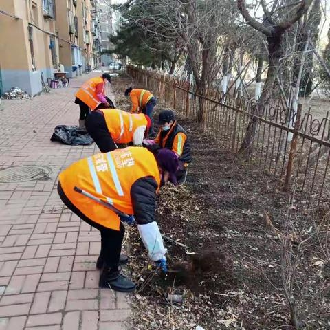 【大东创卫】万泉街道万泉社区开展“清洁沈阳，万泉在行动”活动