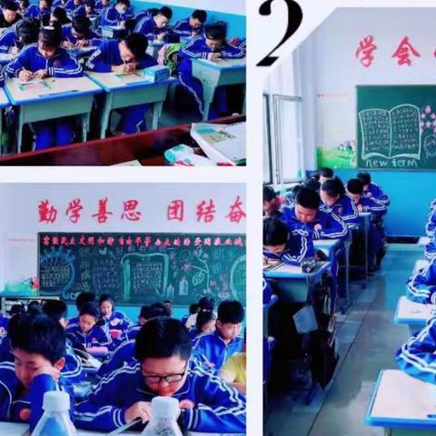 教师心声‖肩负历史使命，育出桃李芬芳——麦新中学