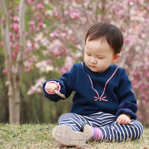 又是一年春好处，悠闲漫步植物园