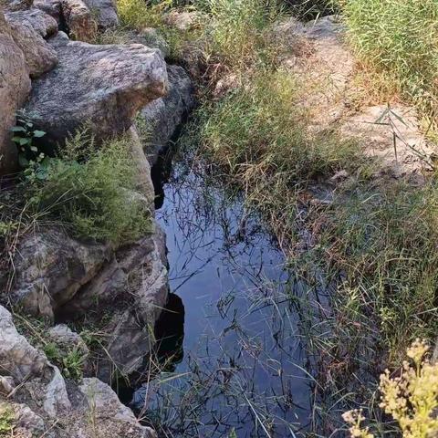 10月七日作业展示