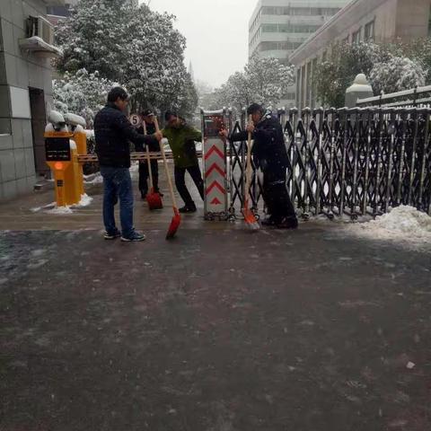 市职防院成立应急队，快速扫除积雪，保障职业人群体检及就医安全