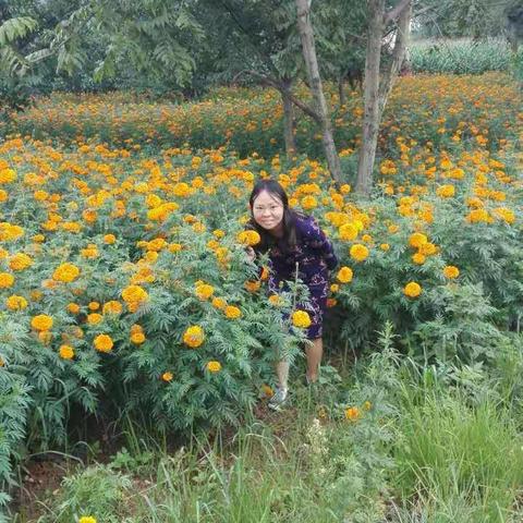 抓住暑期的尾巴